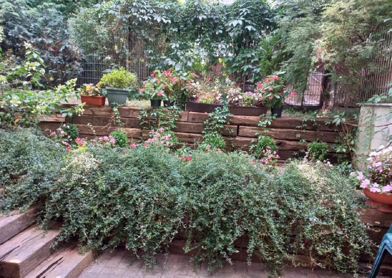 Sadul Apartament